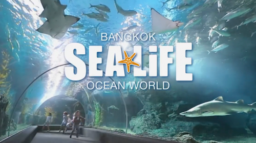 Vé Sea Life Bangkok Ocean World Bangkok, Thái Lan
